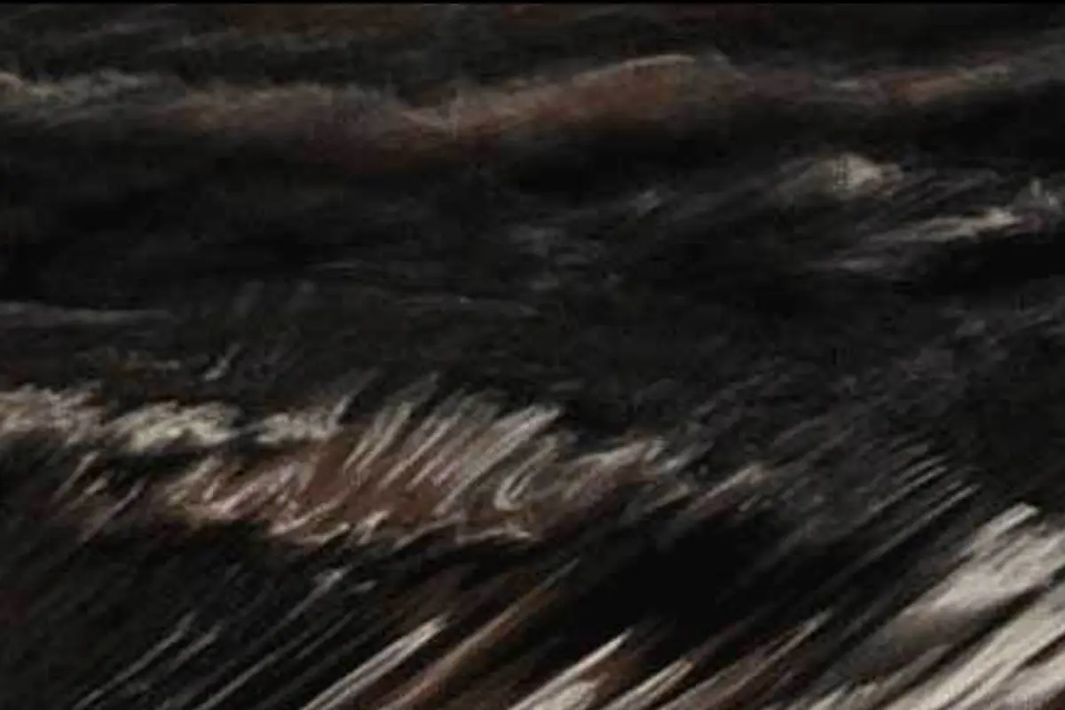 Acrylic shell color option Midnight Canyon for Artesian Garden Spas