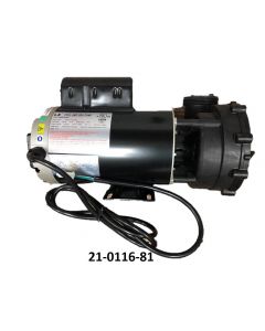 South Seas Spas LX Jet Pump - 5HP 1-Speed – OEM Pump Part